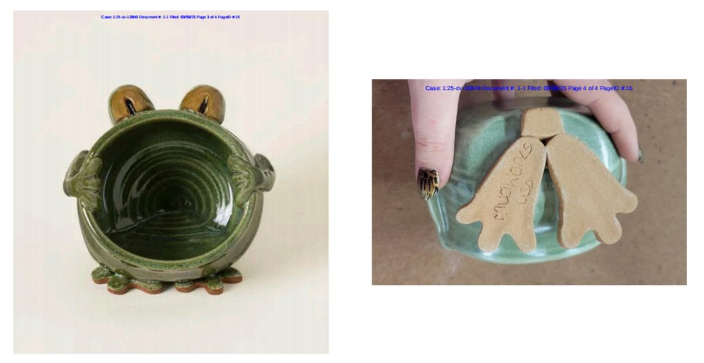 Acoustic Frog Copyright Cover