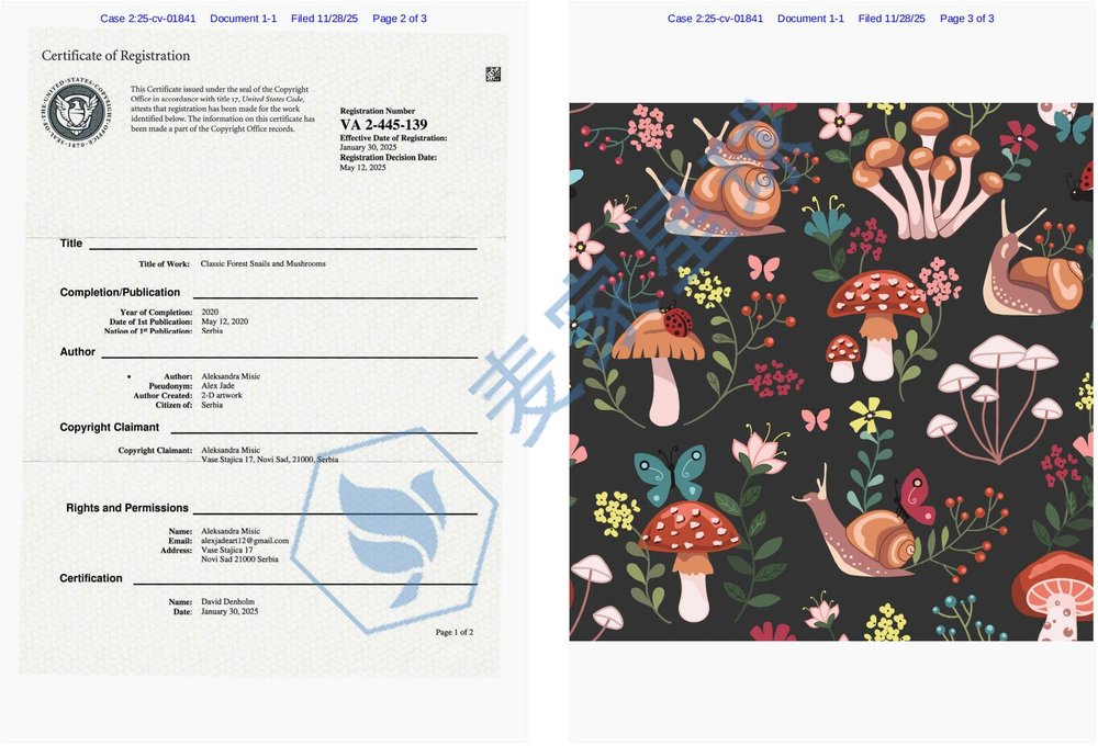 Aleksandra Misic Copyright