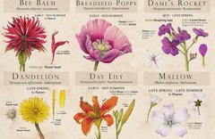 Botanical Arts Press LLC Copyrights Cover