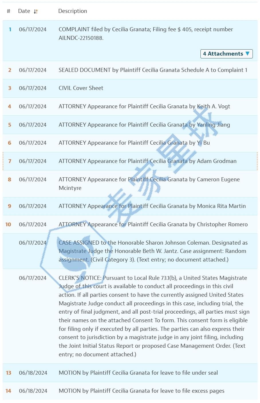 Cecilia Granata infringement case