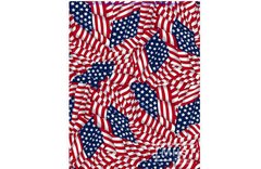 Cranston Print Works Company flags copyrights cover