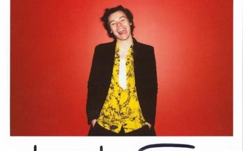 HARRY STYLES 哈里·斯泰尔斯