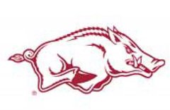 RAZORBACKS