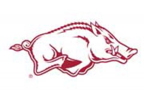 RAZORBACKS