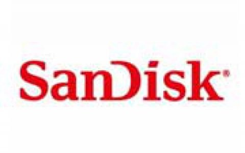 SANDISK 闪迪