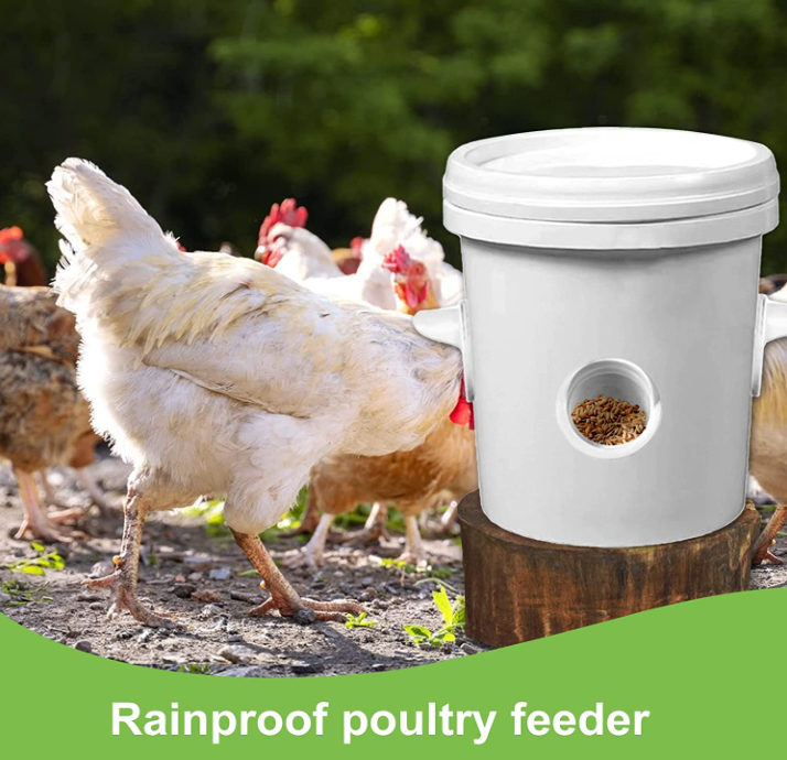 chicken feeder