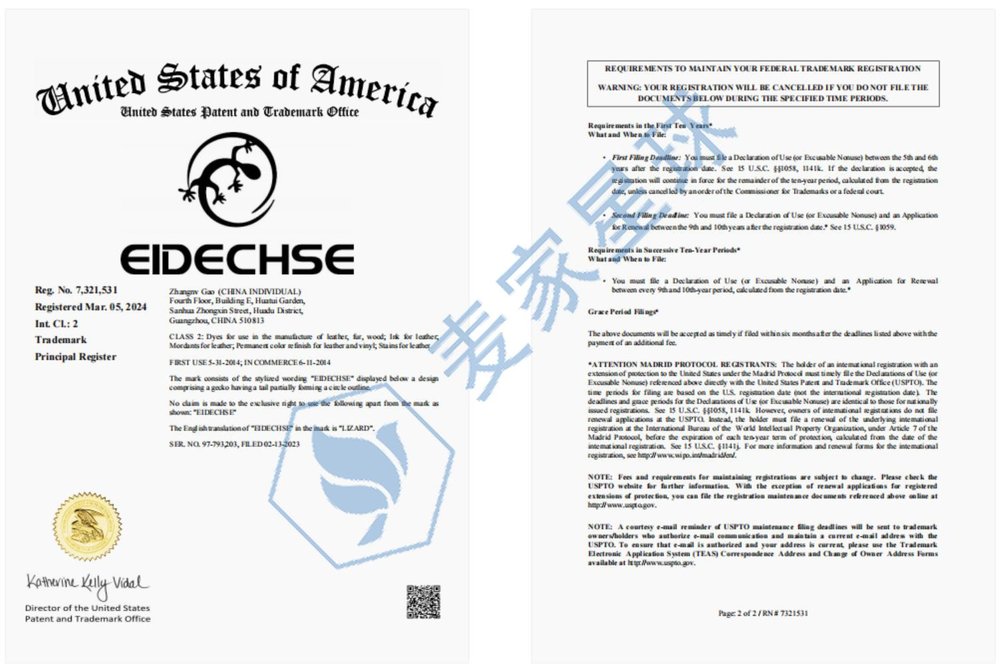 Eidechse trademark