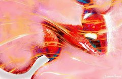 Haim Samarel Copyright cover