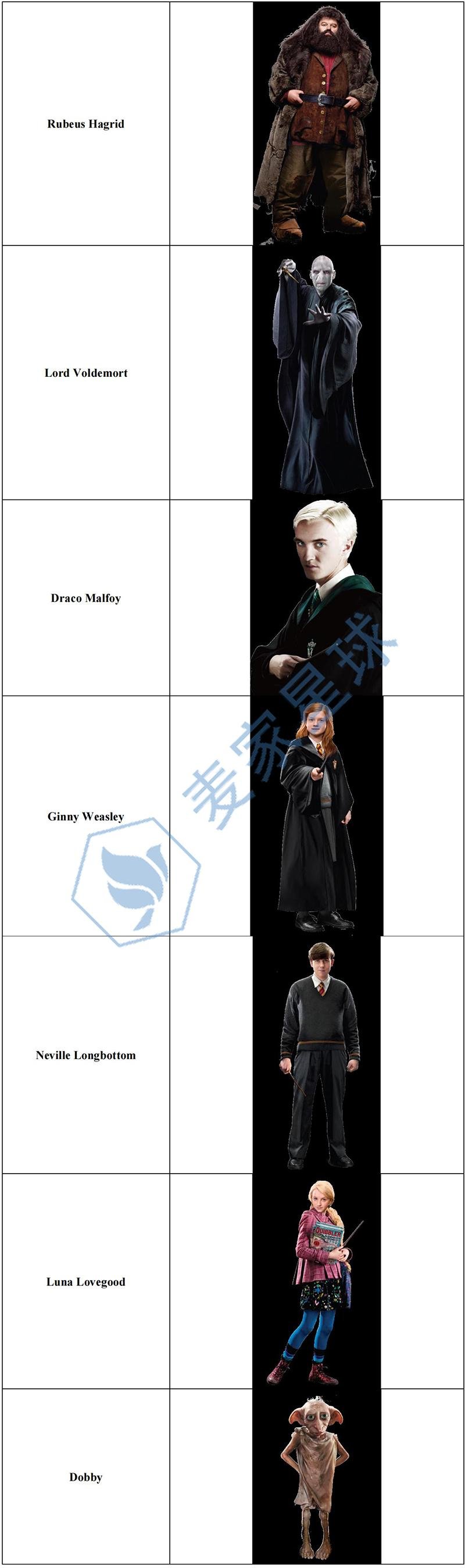 Harry Potter Copyrighjt_002