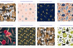 Iuliia Gosteva Copyrights Cover