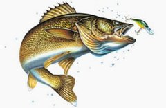 Jon Q. Wright Copyrights Cover