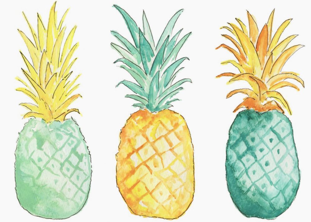 Kelsey Dawn McNatt Copyright Cover