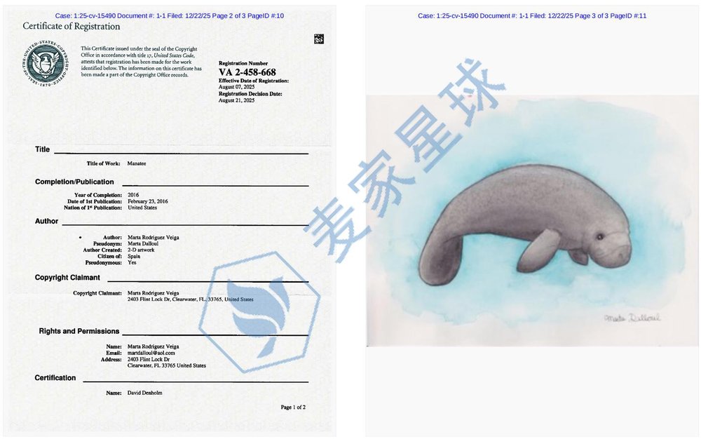 Marta Rodriguez Veiga Copyrights