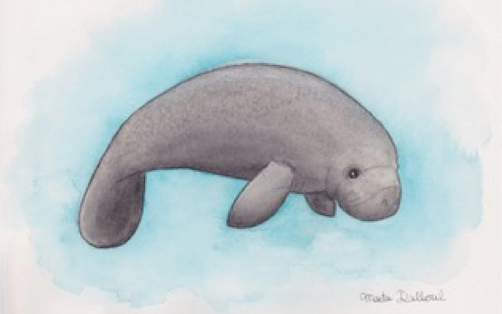 Marta Rodriguez Veiga Copyrights cover