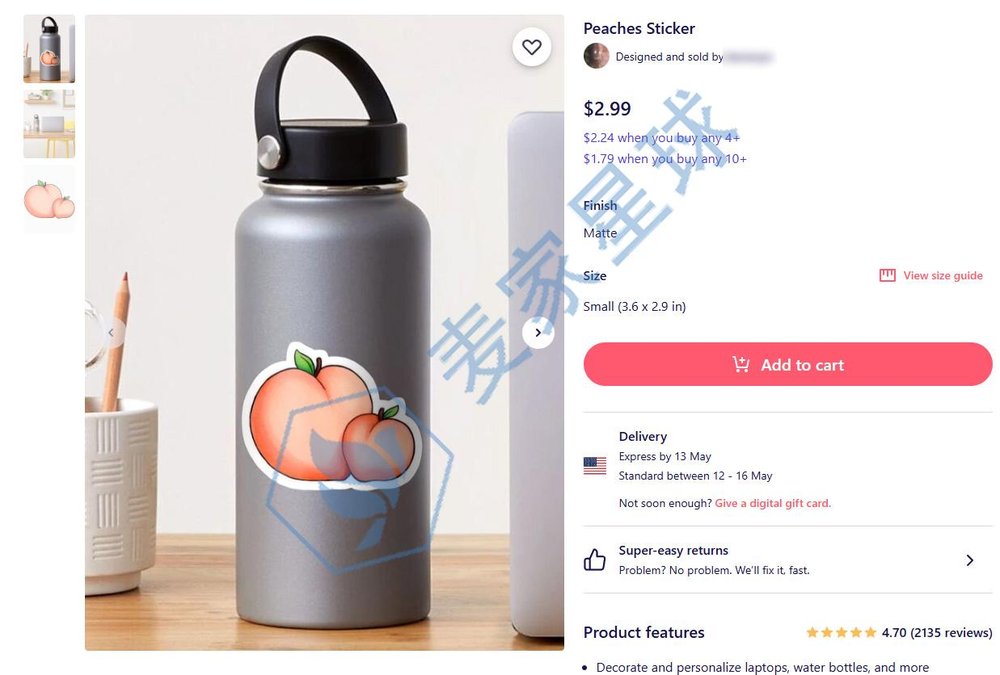 Mayra Alejandra Taboada Pacheco_infringing product