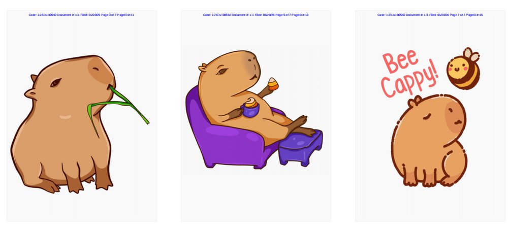 Olga Zikova Copyrights Cover