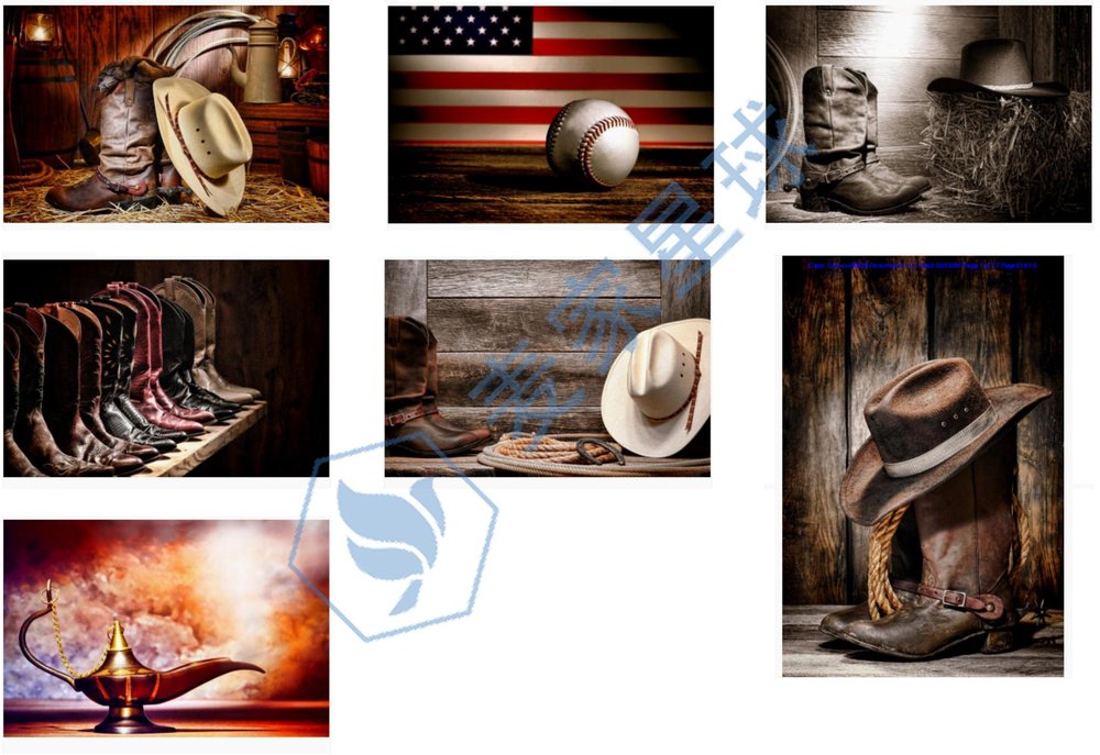 Olivier Le Queinec Copyrights