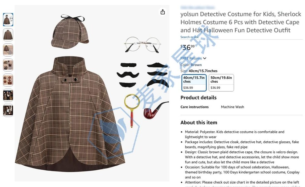 Sherlock Holmes custome