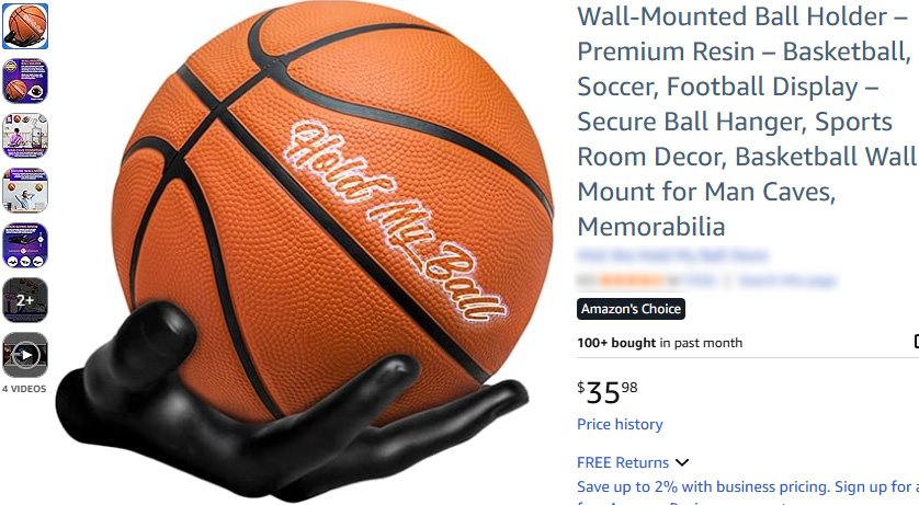 Wall Mounted Ball Holder