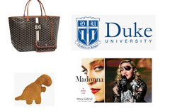 duke madonna goyard plush dinasour