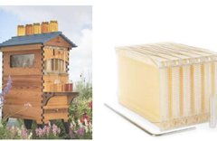 honeycomb 蜂巢专利 example