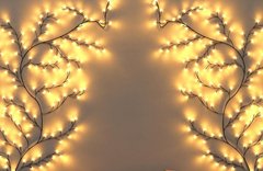 vine lamp patent cover